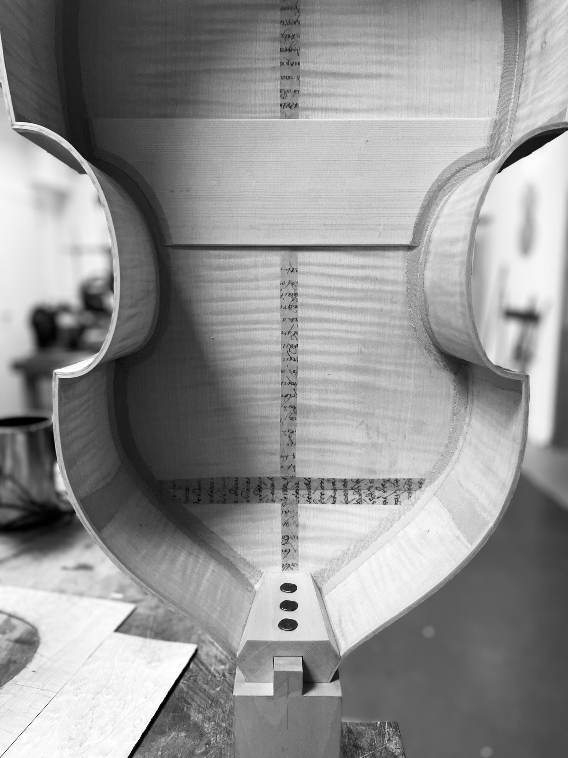 Purfling, Henry Jaye, London, Southwark, Bass viol back, English viol, consort, viol consort, Nails, Forged nails, Consort bass, Bass viol, soundpost plate, original label